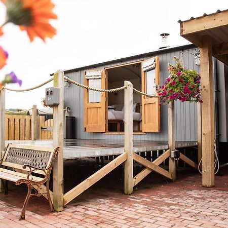 Rose Villa Rhayader Dış mekan fotoğraf